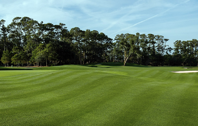 TPC Sawgrass