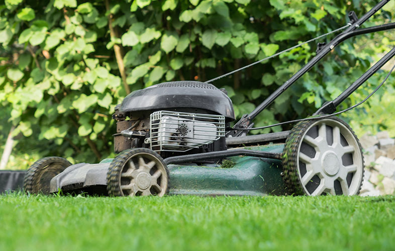 Lawn mower on healthy turf