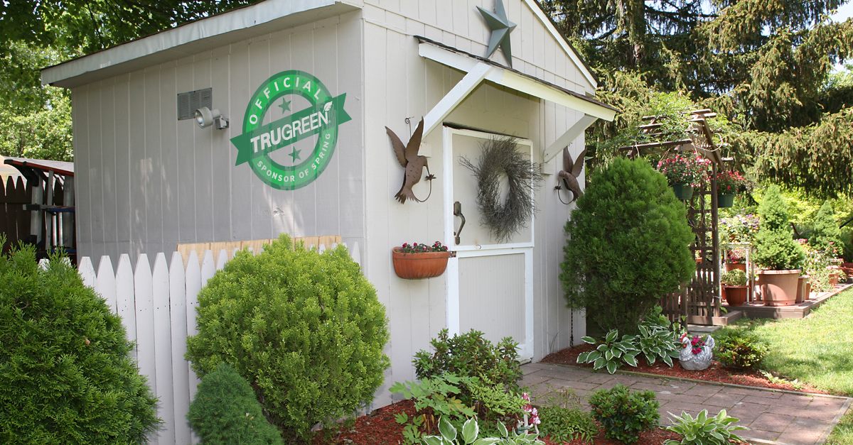 Garden shed on lawn